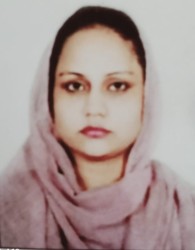 Gulfisha