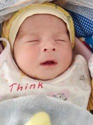 Zohan Alam